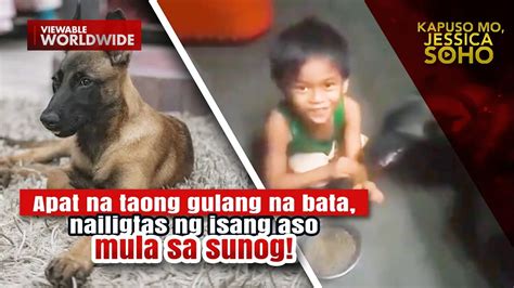 bata kinantot ng aso|Kapuso Mo, Jessica Soho: Bata, kinagat ng aso ang ilong!.